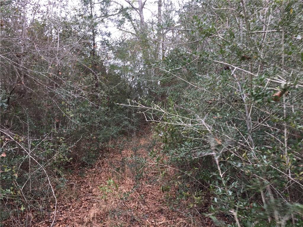 0 Silver Run Road Poplarville, MS 39470 - Photo 14 of 16 Gallery Image 14