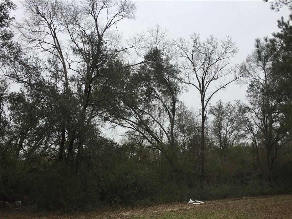 0 Silver Run Road Poplarville, MS 39470 - Photo 15 of 16 Gallery Image 15