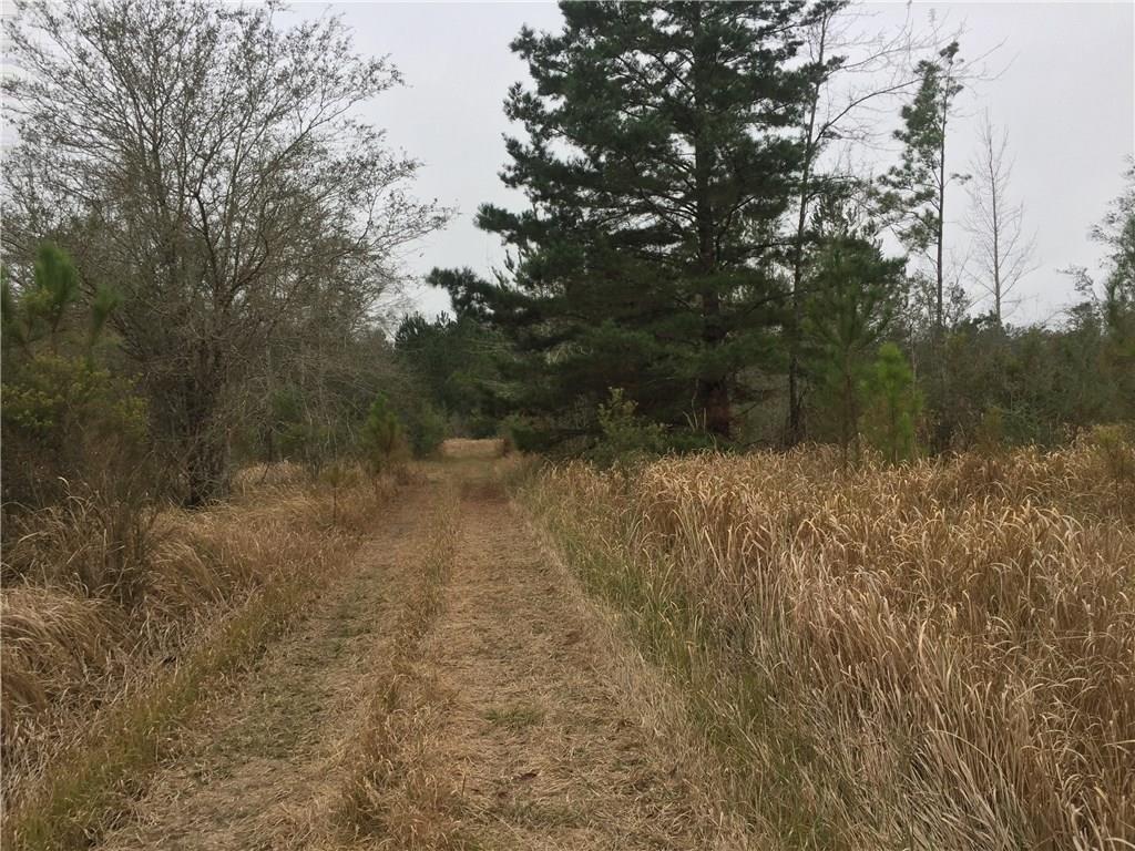 0 Silver Run Road Poplarville, MS 39470 - Photo 16 of 16 Gallery Image 16