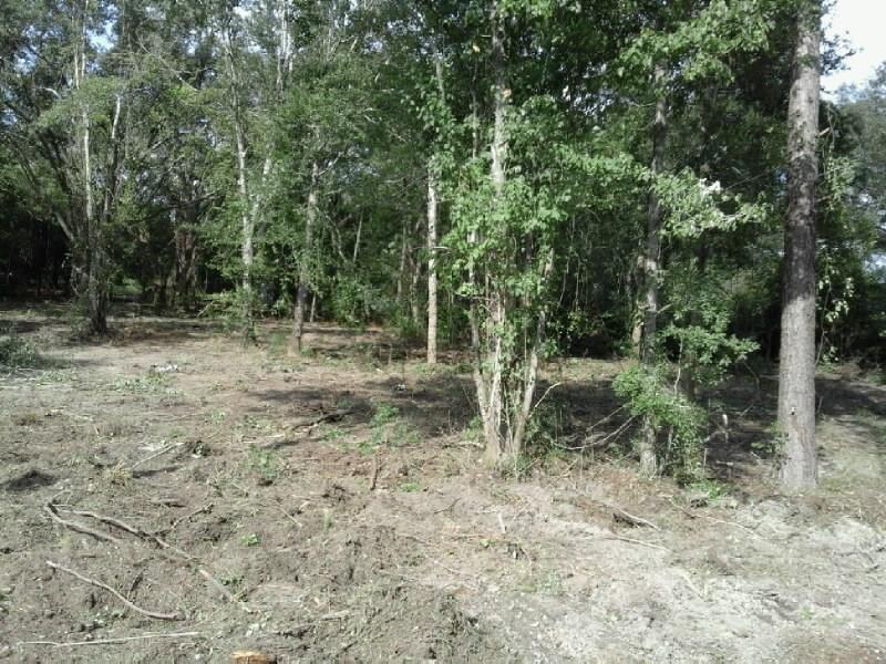 0 Silver Run Road Poplarville, MS 39470 - Photo 7 of 16 Gallery Image 7
