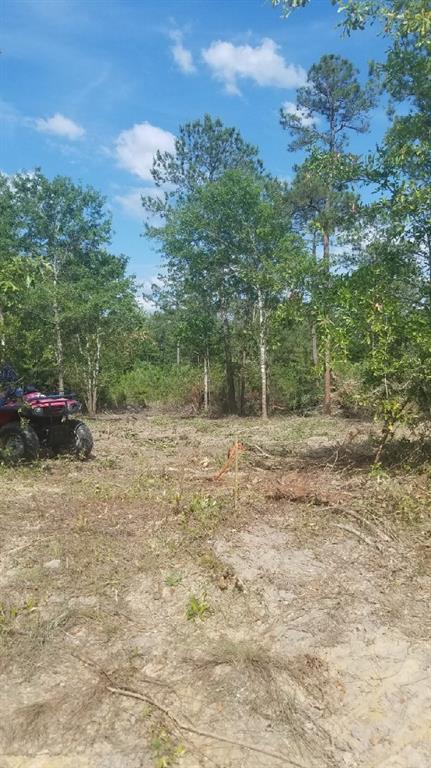 0 Silver Run Road Poplarville, MS 39470 - Photo 8 of 16 Gallery Image 8