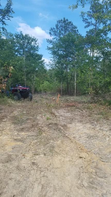 0 Silver Run Road Poplarville, MS 39470 - Photo 9 of 16 Gallery Image 9