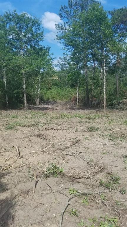 0 Silver Run Road Poplarville, MS 39470 - Photo 10 of 16 Gallery Image 10