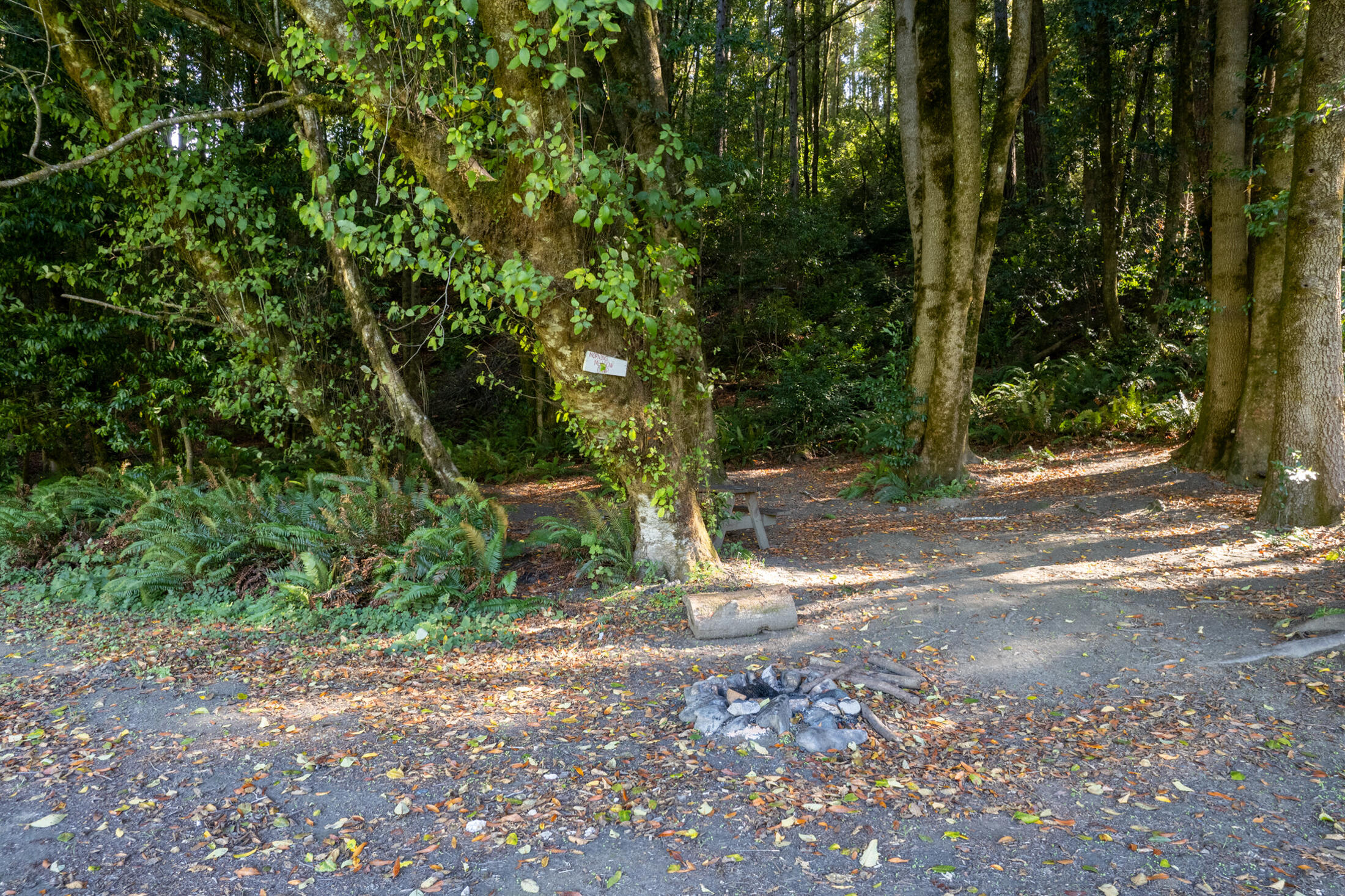 13065 Johnson Road Hoopa, CA 95546 - Photo 71 of 95