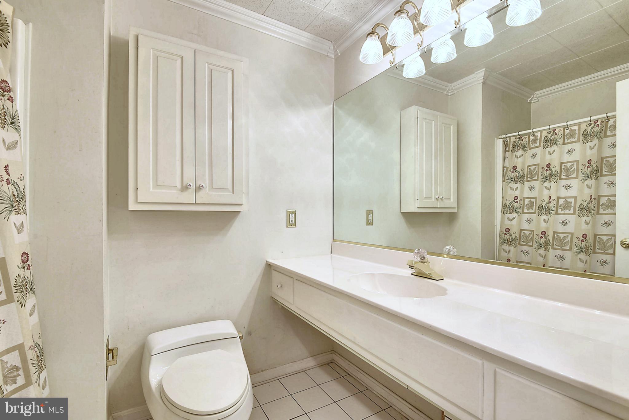 20601 Top Ridge Drive Boyds, MD 20841 - Photo 17 of 26 a bathroom with a sink a toilet and a large mirror