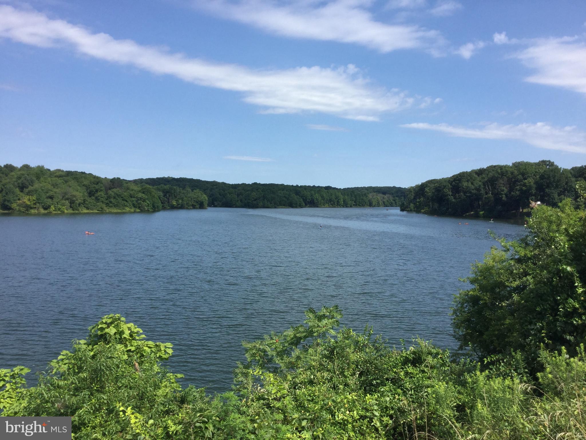 20601 Top Ridge Drive Boyds, MD 20841 - Photo 3 of 26 a view of lake with green space