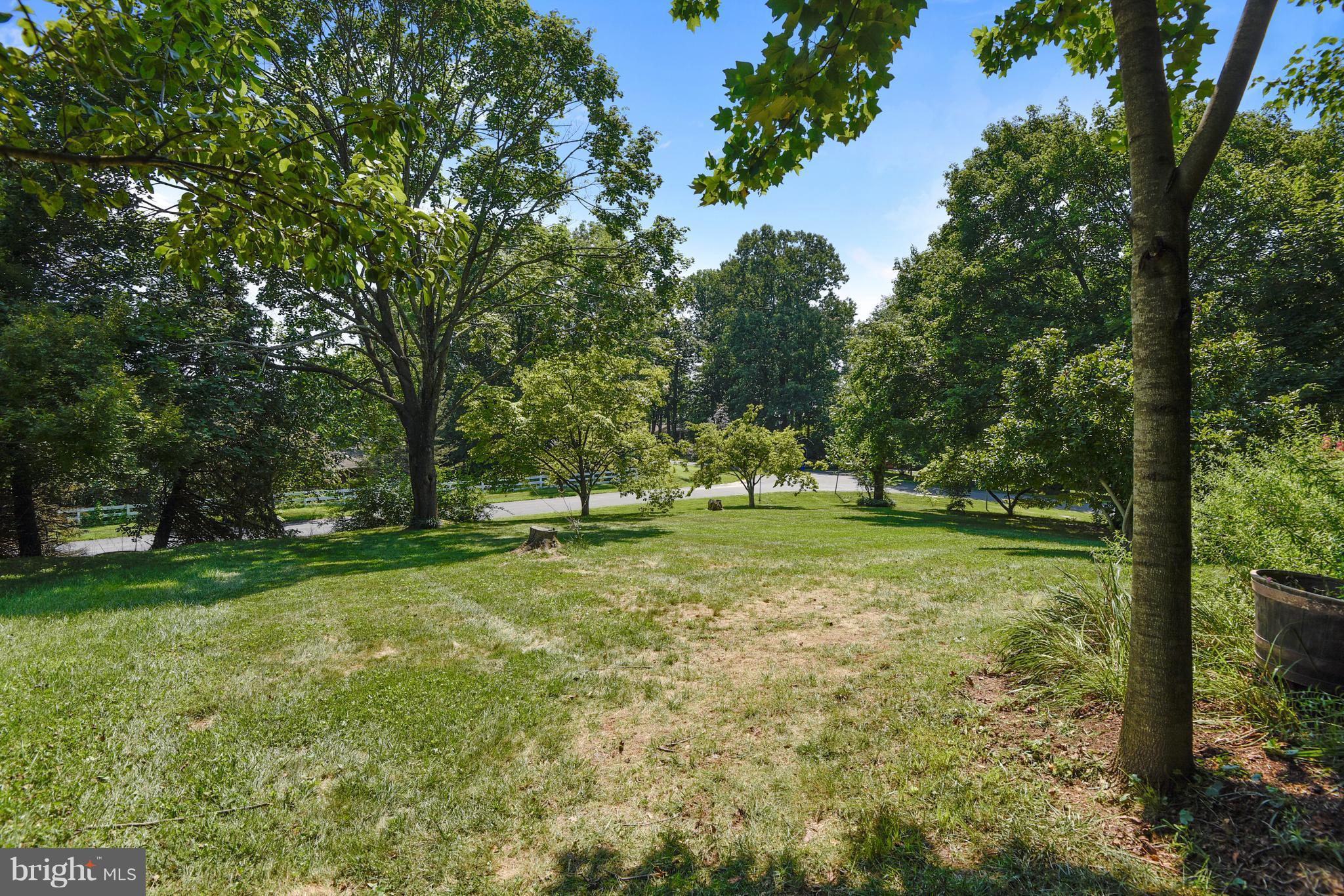 20601 Top Ridge Drive Boyds, MD 20841 - Photo 22 of 26 a view of a tree in a yard