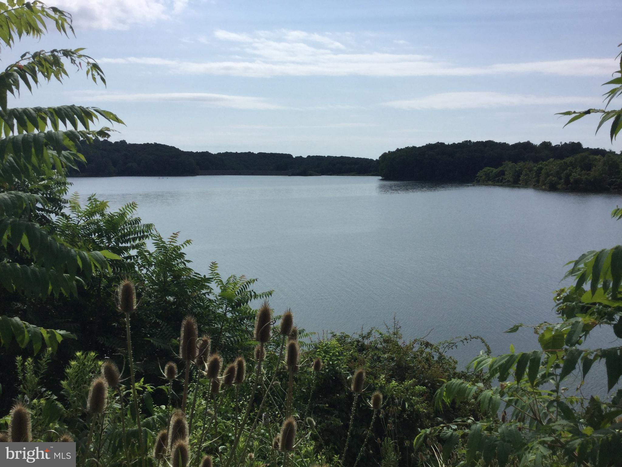 20601 Top Ridge Drive Boyds, MD 20841 - Photo 26 of 26 a view of lake with mountain in background