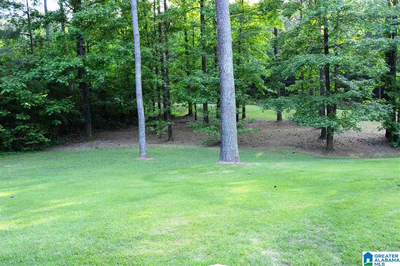 910 Sellers Hollow Road Dora, AL 35062 - Photo 42 of 47