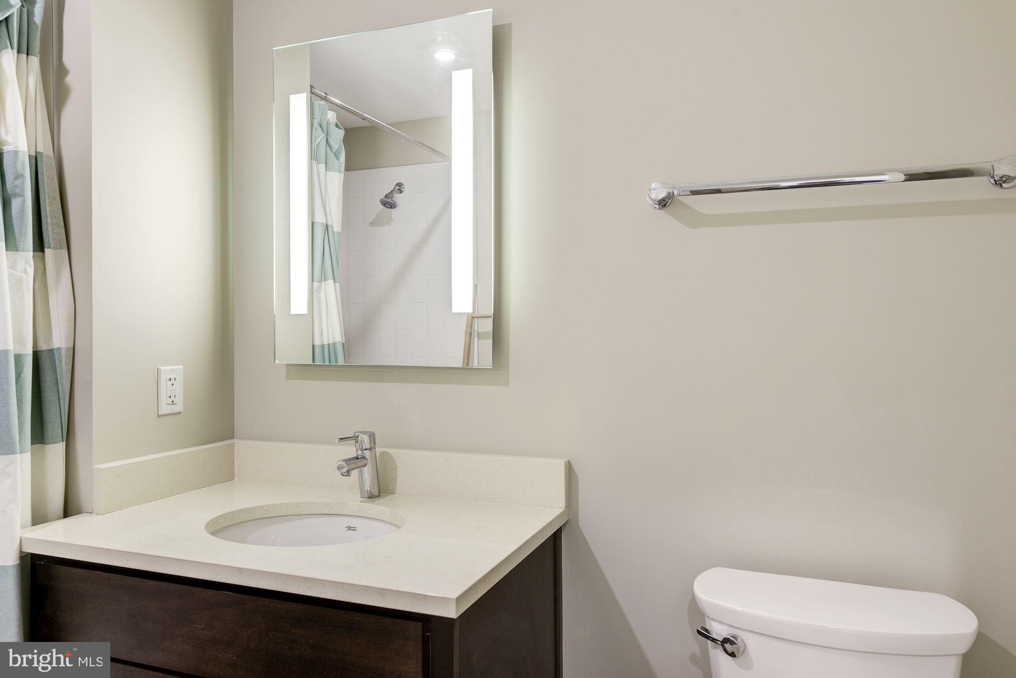 1320 Fenwick Lane, Unit 508 Silver Spring, MD 20910 - Photo 13 of 45 Bathroom