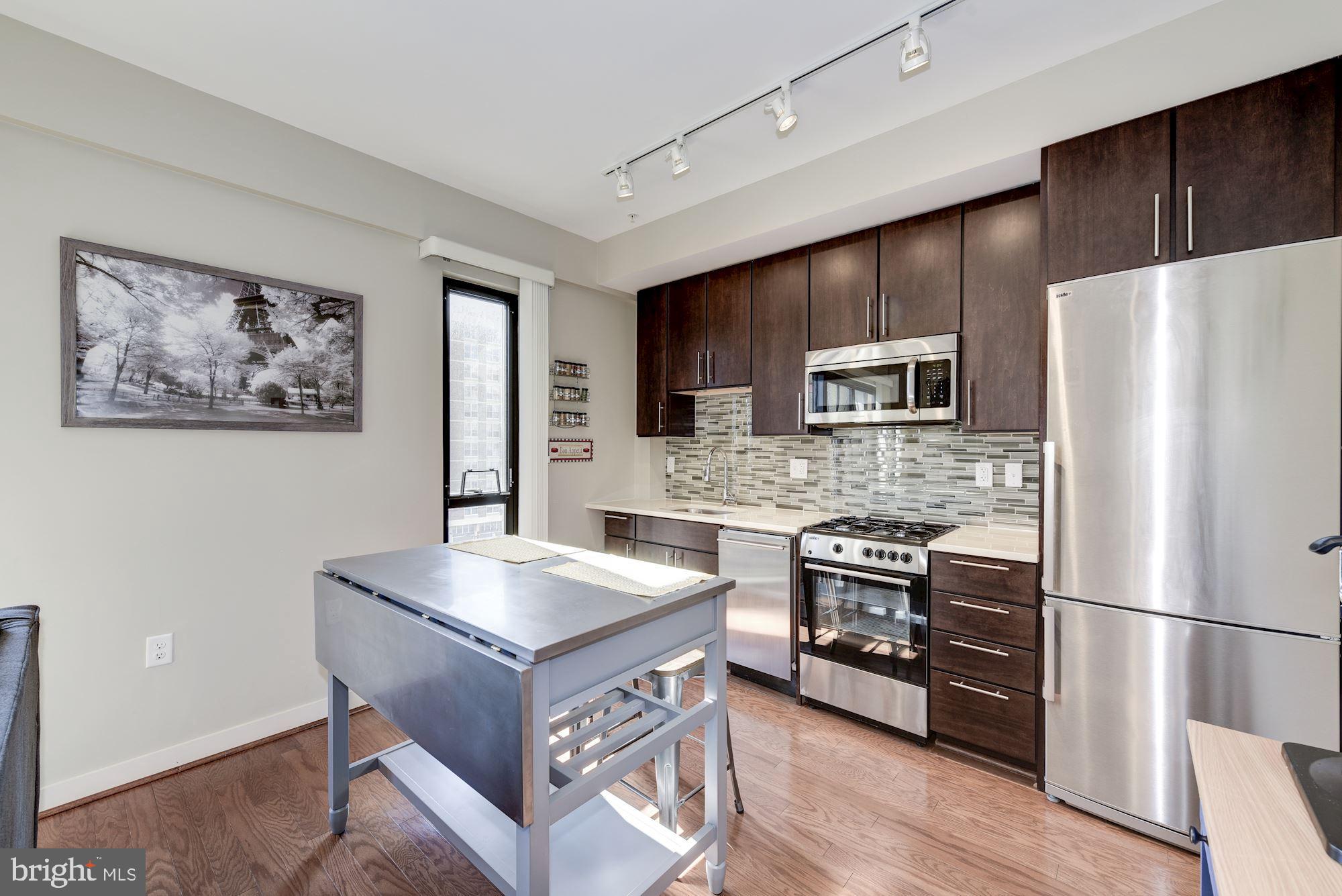 1320 Fenwick Lane, Unit 508 Silver Spring, MD 20910 - Photo 4 of 45 Kitchen