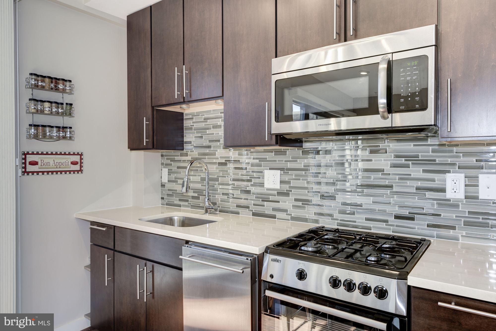 1320 Fenwick Lane, Unit 508 Silver Spring, MD 20910 - Photo 6 of 45 Kitchen