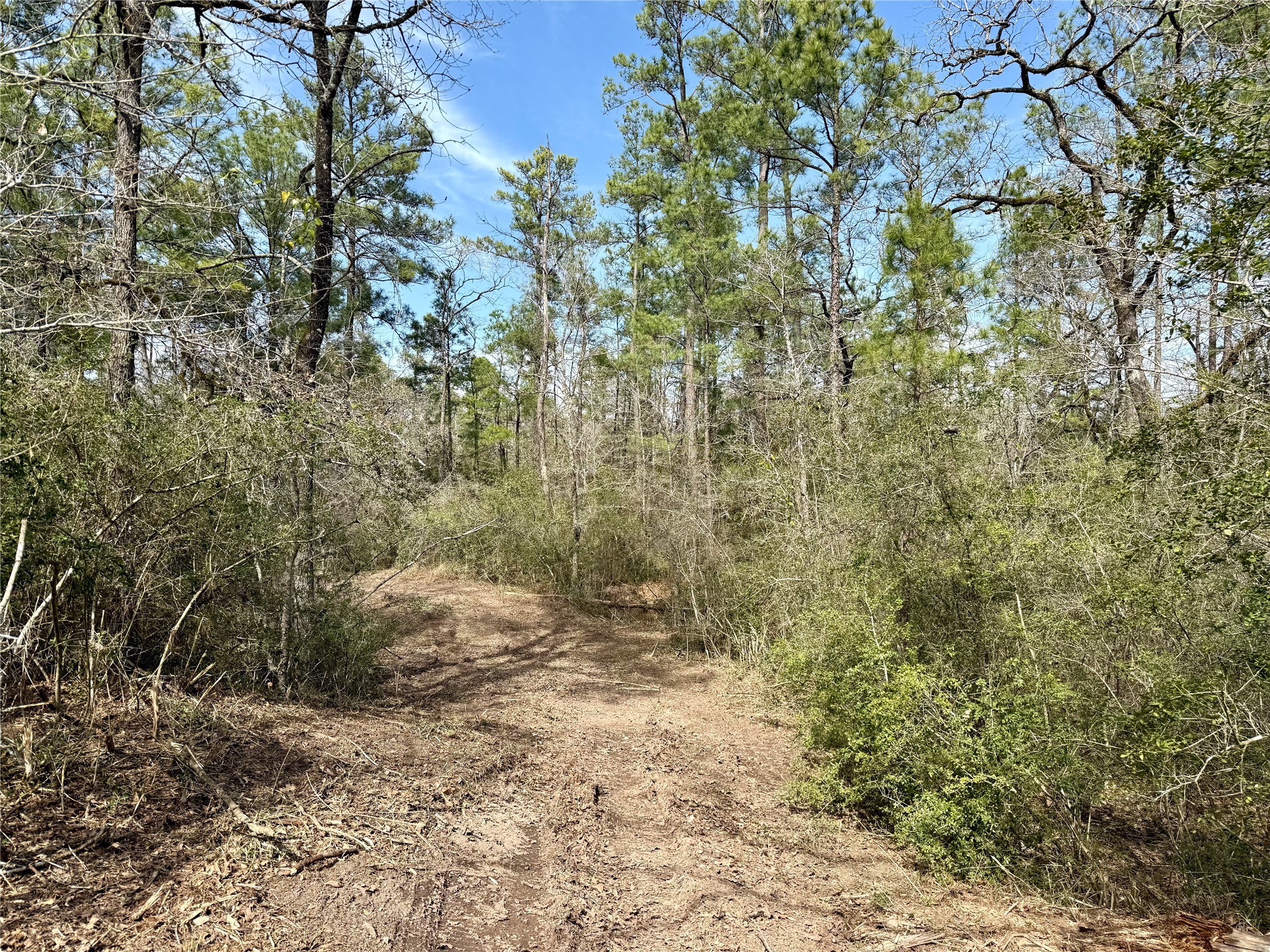 Tbd Round Prairie Road Huntsville, TX 77320 - Photo 7 of 25