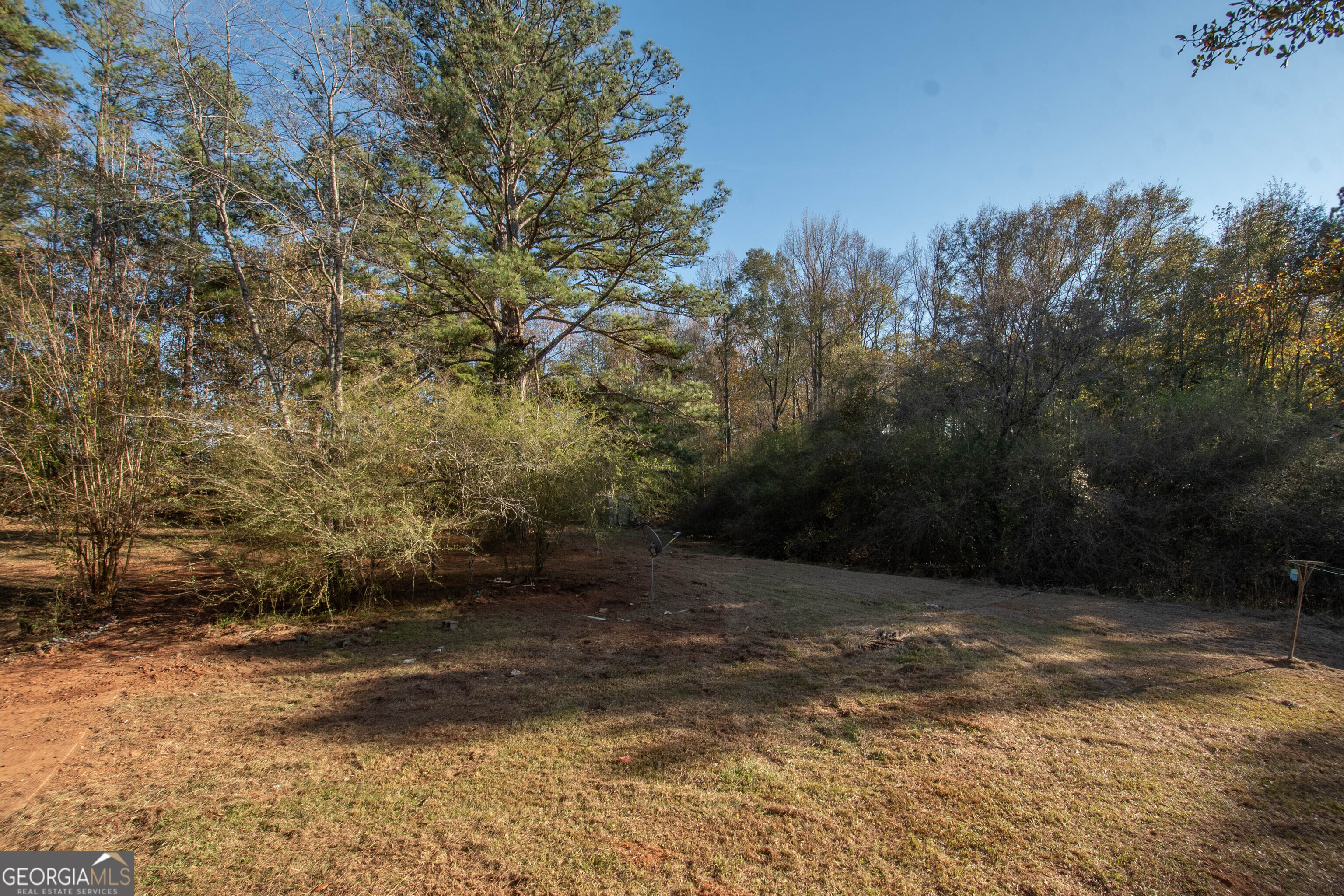 980 Grandma Branch Road Grantville, GA 30220 - Photo 27 of 33 a view of a yard with trees