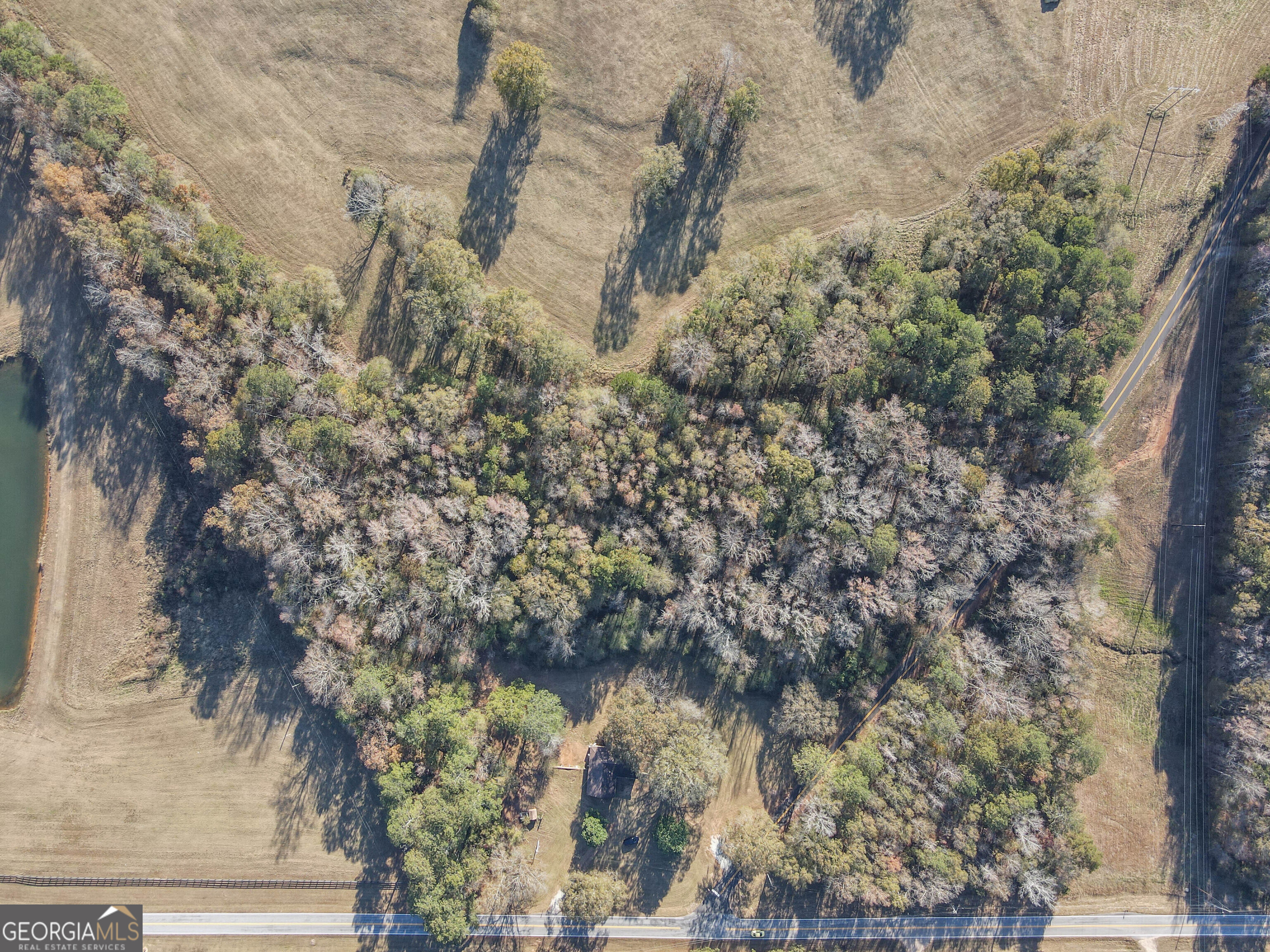 980 Grandma Branch Road Grantville, GA 30220 - Photo 30 of 33 a close up of a tree