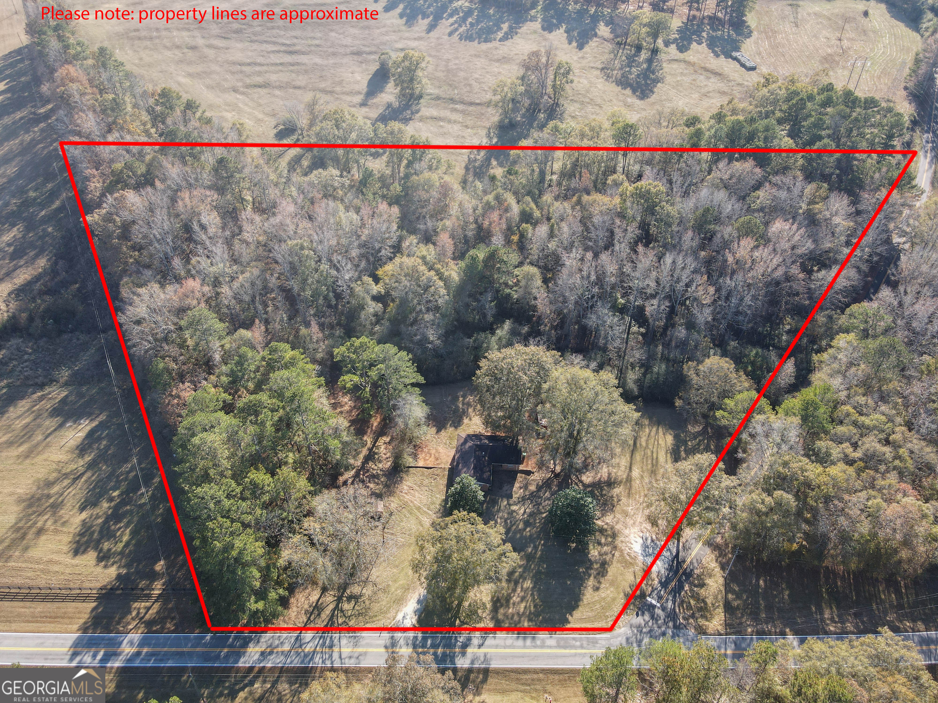 980 Grandma Branch Road Grantville, GA 30220 - Photo 3 of 33 a view of outdoor space with swimming pool