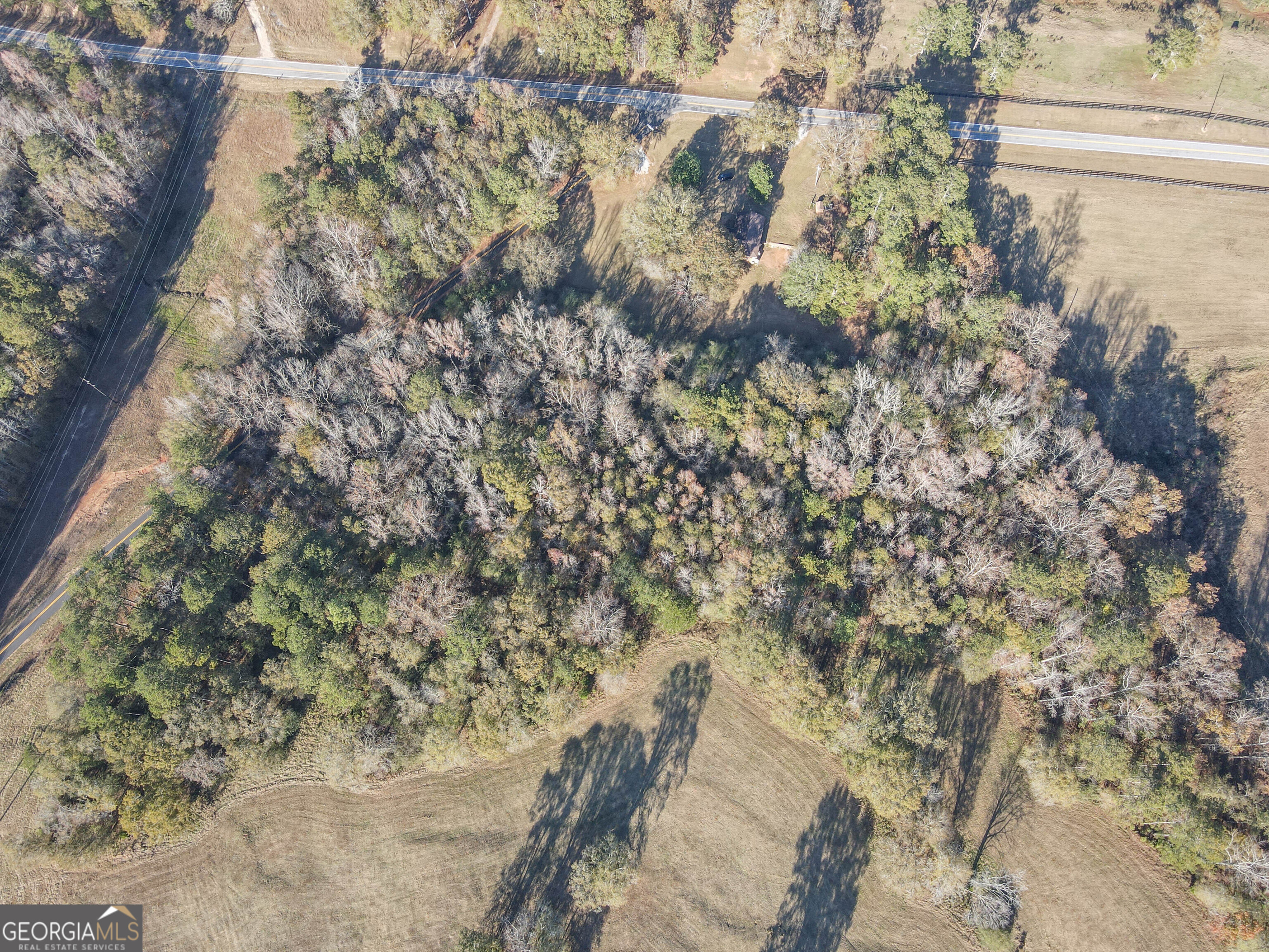 980 Grandma Branch Road Grantville, GA 30220 - Photo 31 of 33 a view of a yard with a tree