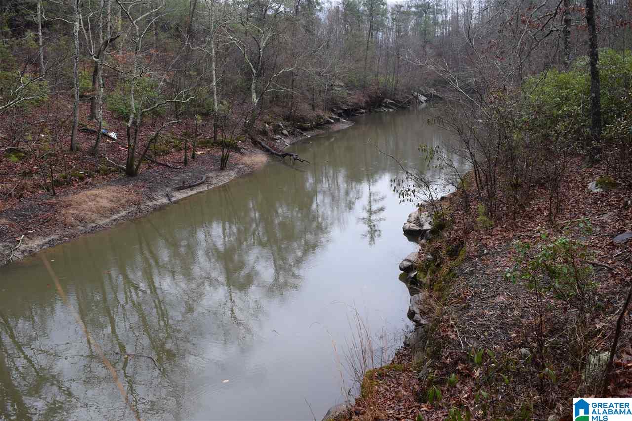 Lot 11 Winding Creek Road, Unit LOT 11 Arley, AL 35541 - Photo 3 of 5