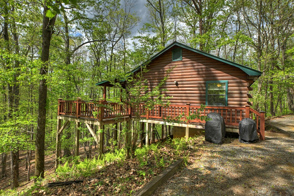 660 Ripshin Mountain Road Blue Ridge, GA 30513 - Photo 27 of 40