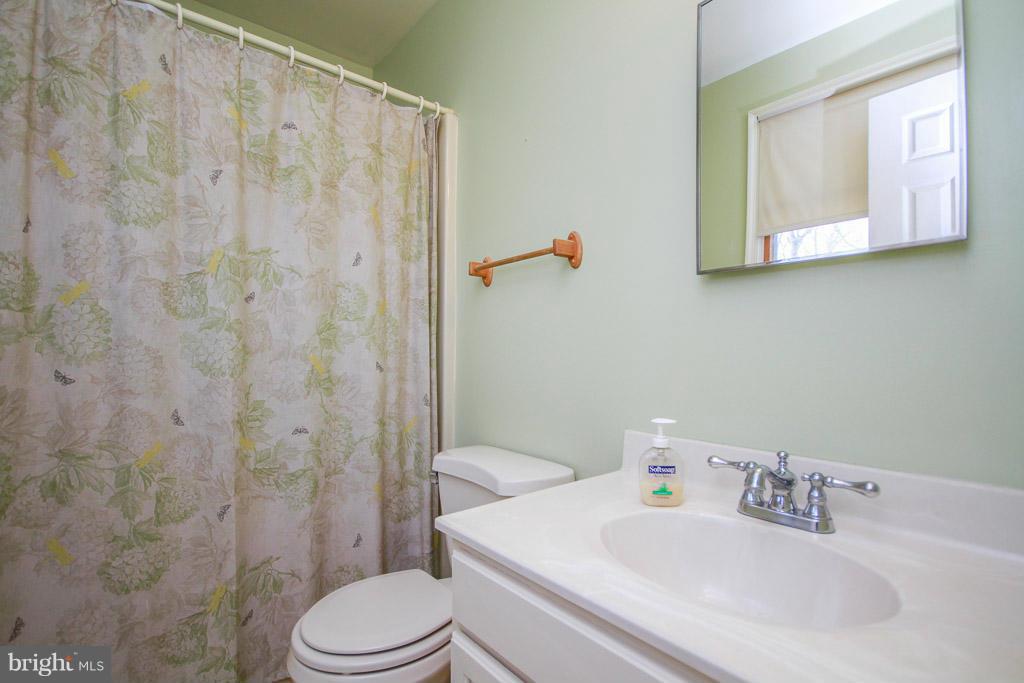 2667 Sandymount Road Finksburg, MD 21048 - Photo 23 of 30 a bathroom with a sink a toilet and shower curtain