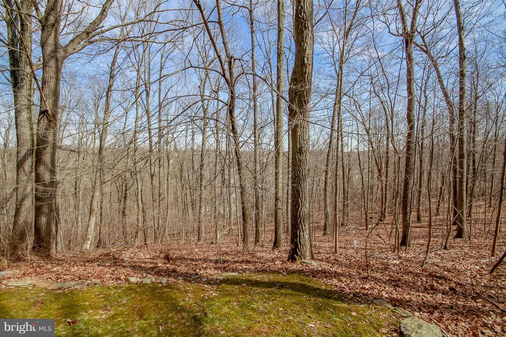 2667 Sandymount Road Finksburg, MD 21048 - Photo 7 of 30 a view of wooden fence