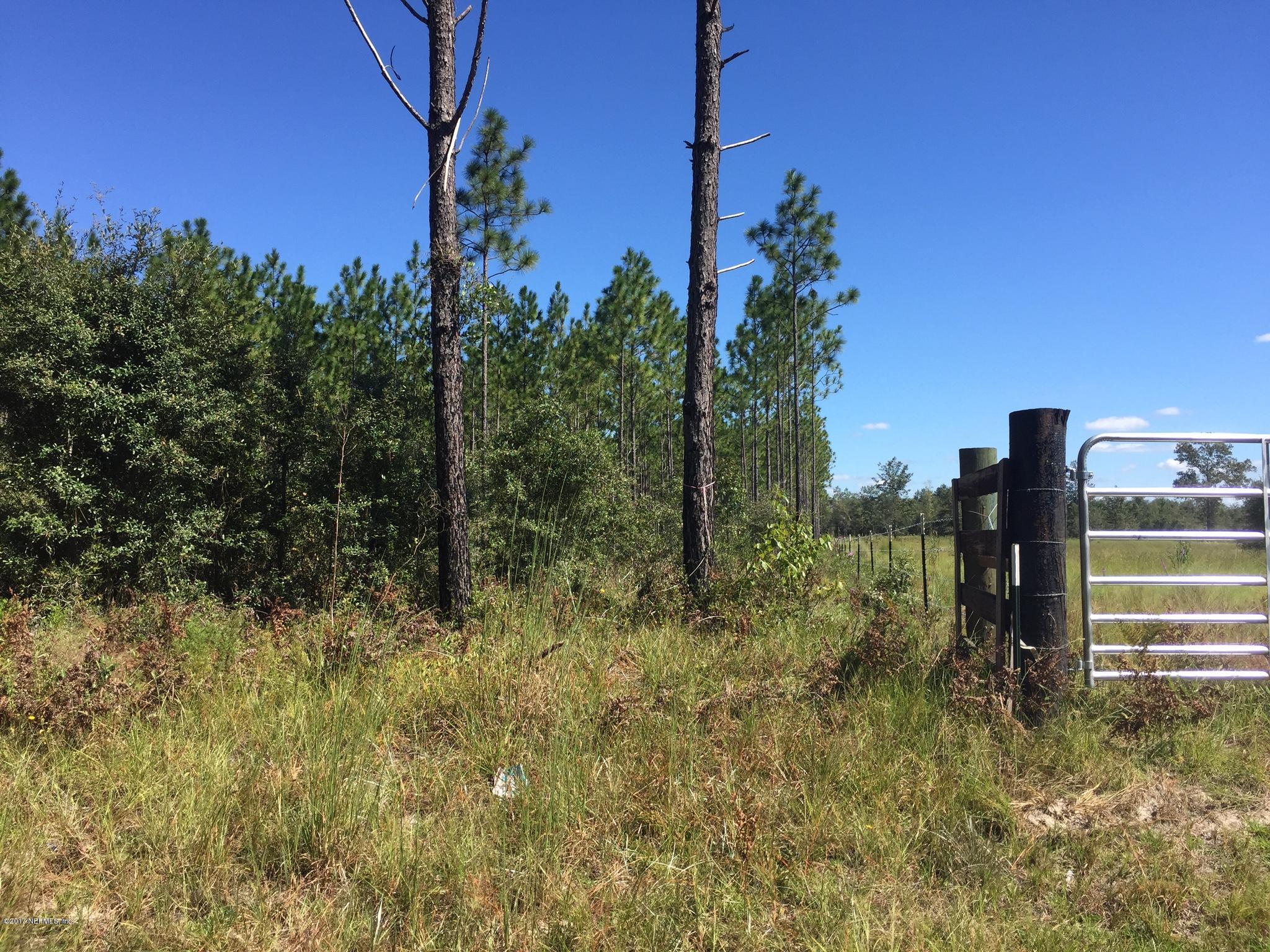 0 Co Road Hilliard, FL 32046 - Photo 11 of 11 IMG_0842