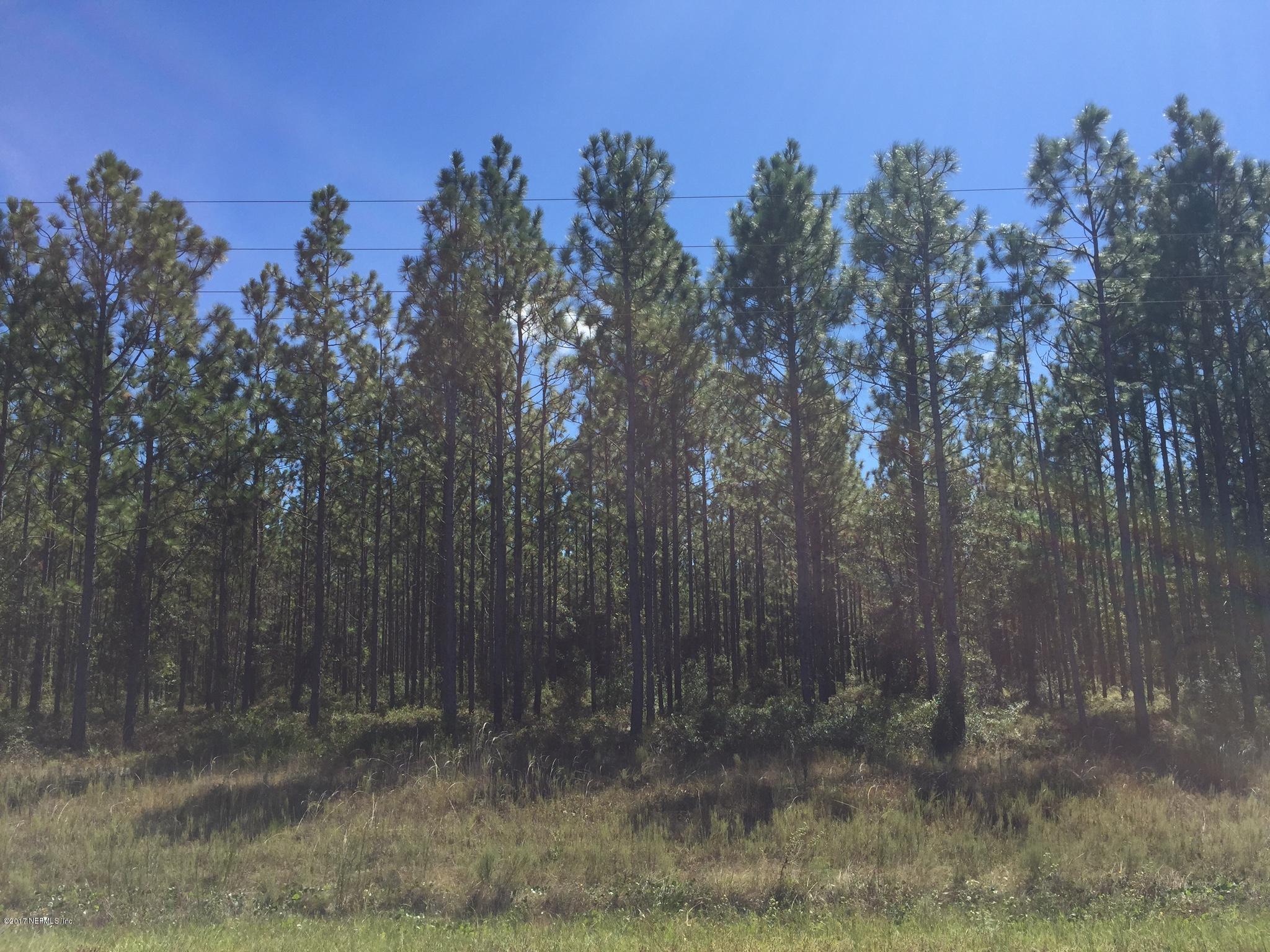 0 Co Road Hilliard, FL 32046 - Photo 3 of 11 IMG_0831