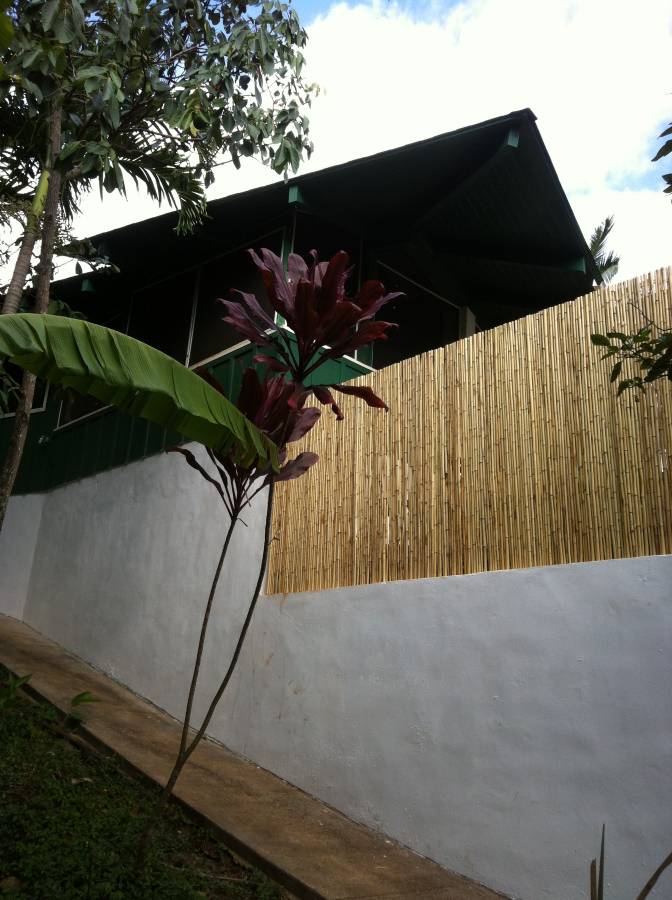 3198 Wawae Road Kalaheo, HI 96741 - Photo 23 of 30