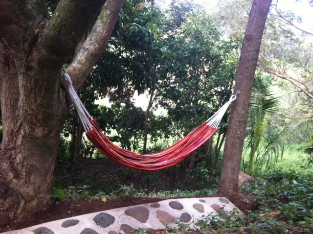 3198 Wawae Road Kalaheo, HI 96741 - Photo 30 of 30