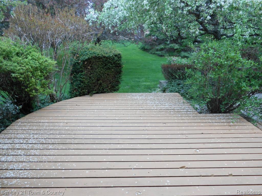 2408 Chalet Drive Rochester, MI 48309 - Photo 45 of 49 Back Yard 1.jpg