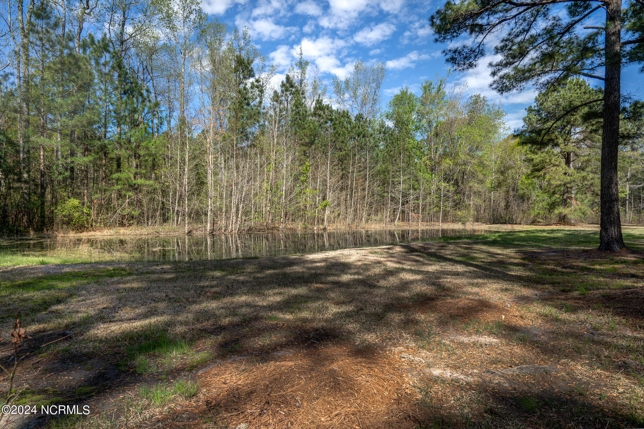 1088 Wollett Mill Road Battleboro, NC 27809 - Photo 42 of 51 041-1088WollettMillRoad-NC-27809-FULL