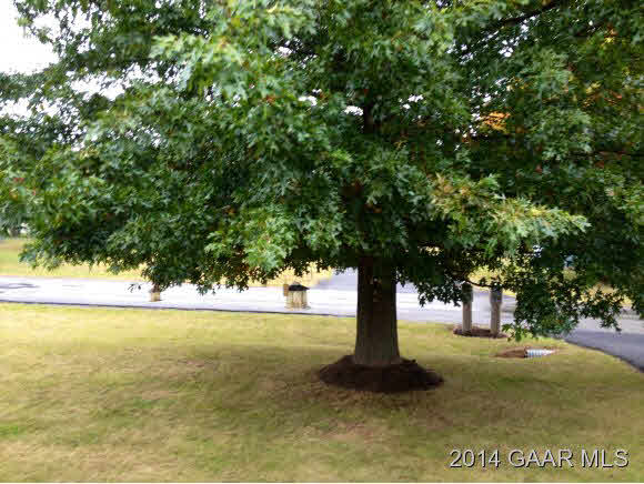 53 Ox Road Waynesboro, VA 22980 - Photo 13 of 14 a view of lake with tree