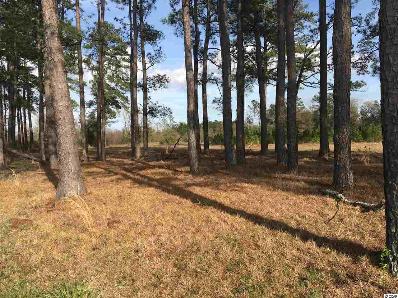 1376 County Rd S-22-790 Hemingway, SC 29554 - Photo 3 of 4