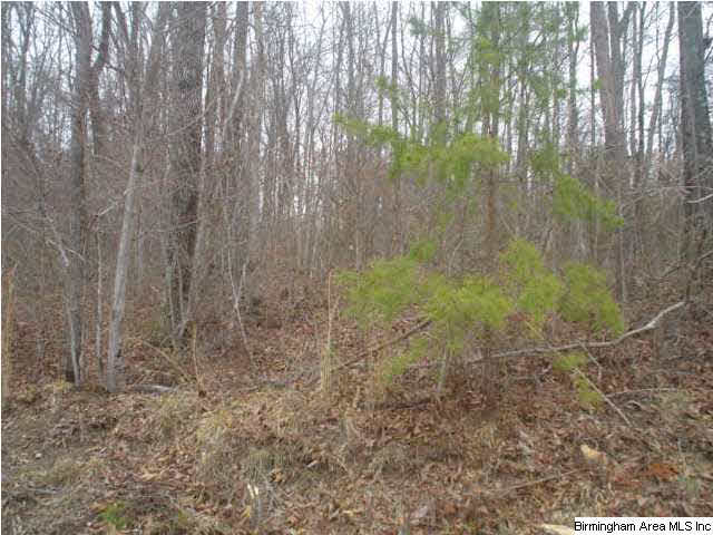 Posey Road, Unit 2 6 Arab, AL 35016 - Photo 3 of 7 Gallery Image 3