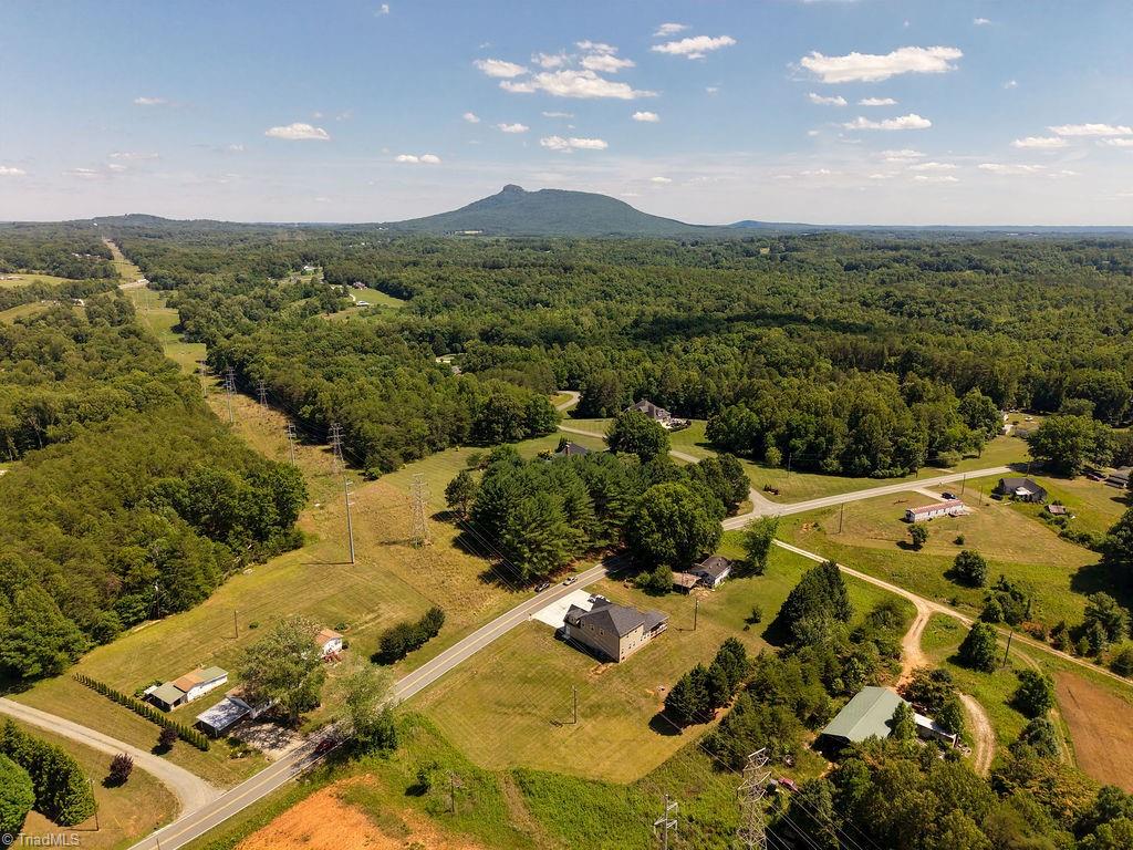 1097 West Dodson Mill Road Pilot Mountain, NC 27041 - Photo 43 of 47