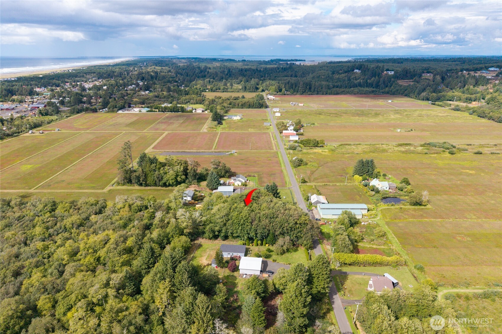 1901 Cranberry Road Grayland, WA 98547 - Photo 28 of 37 Gallery Image 28