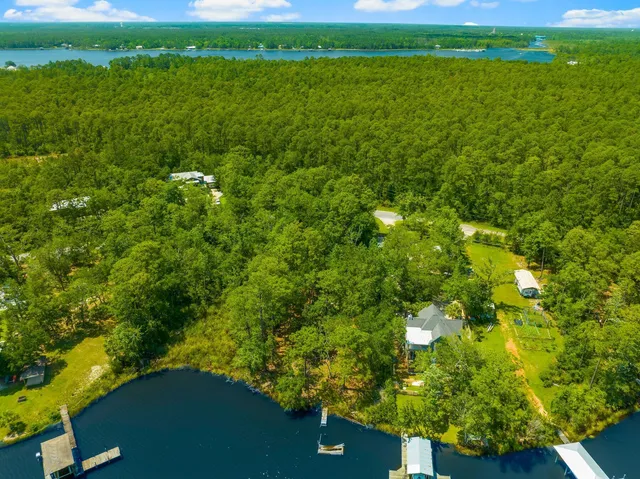 a view of a garden with a lake