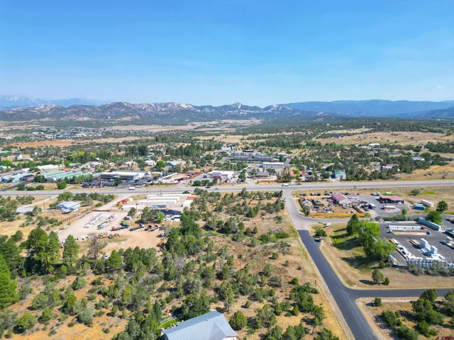 an aerial view of residential house and green space
