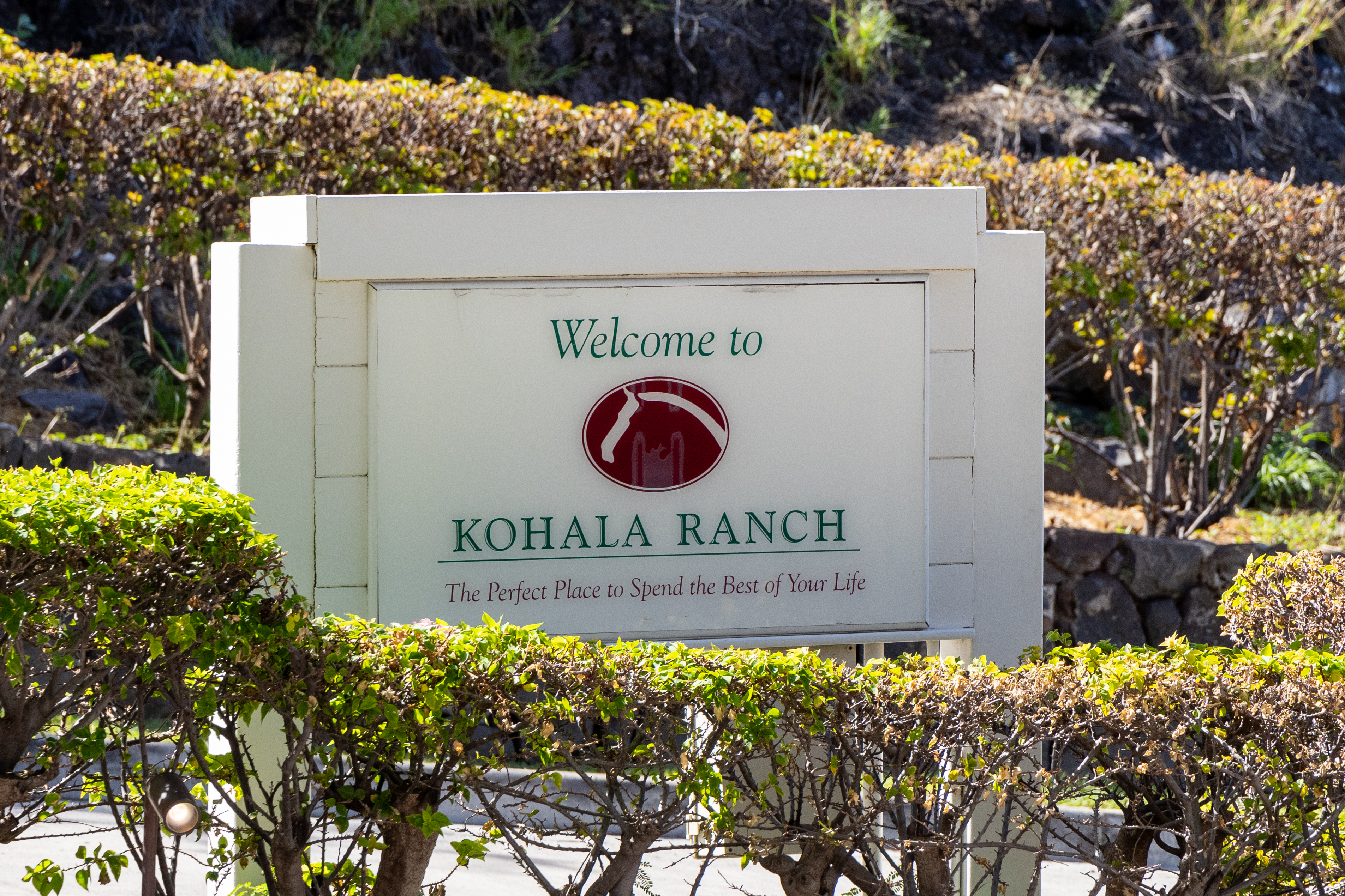 59-1009 Lot 157 Kohala Ranch Road Kamuela, HI 96743 - Photo 4 of 14