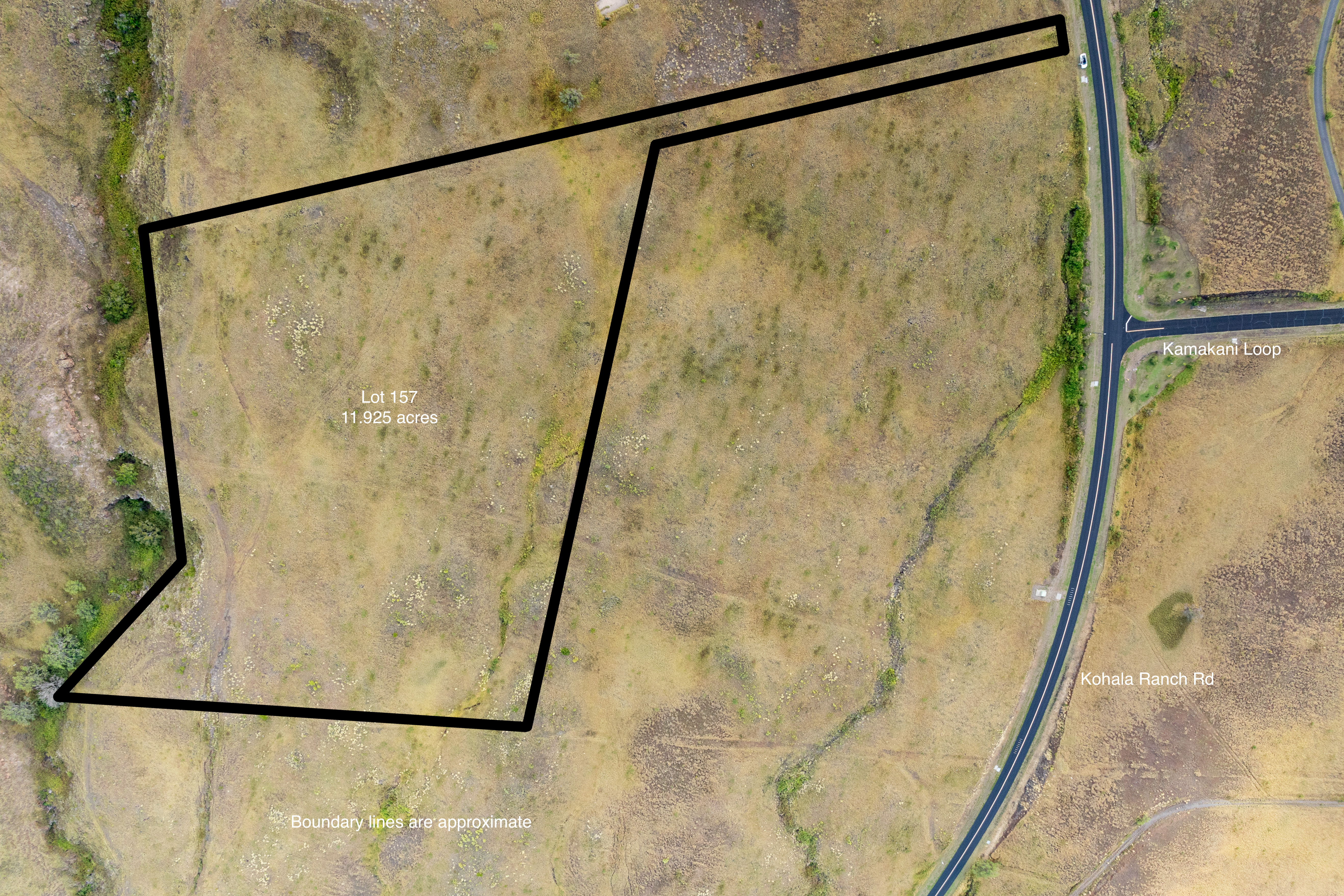 59-1009 Lot 157 Kohala Ranch Road Kamuela, HI 96743 - Photo 6 of 14