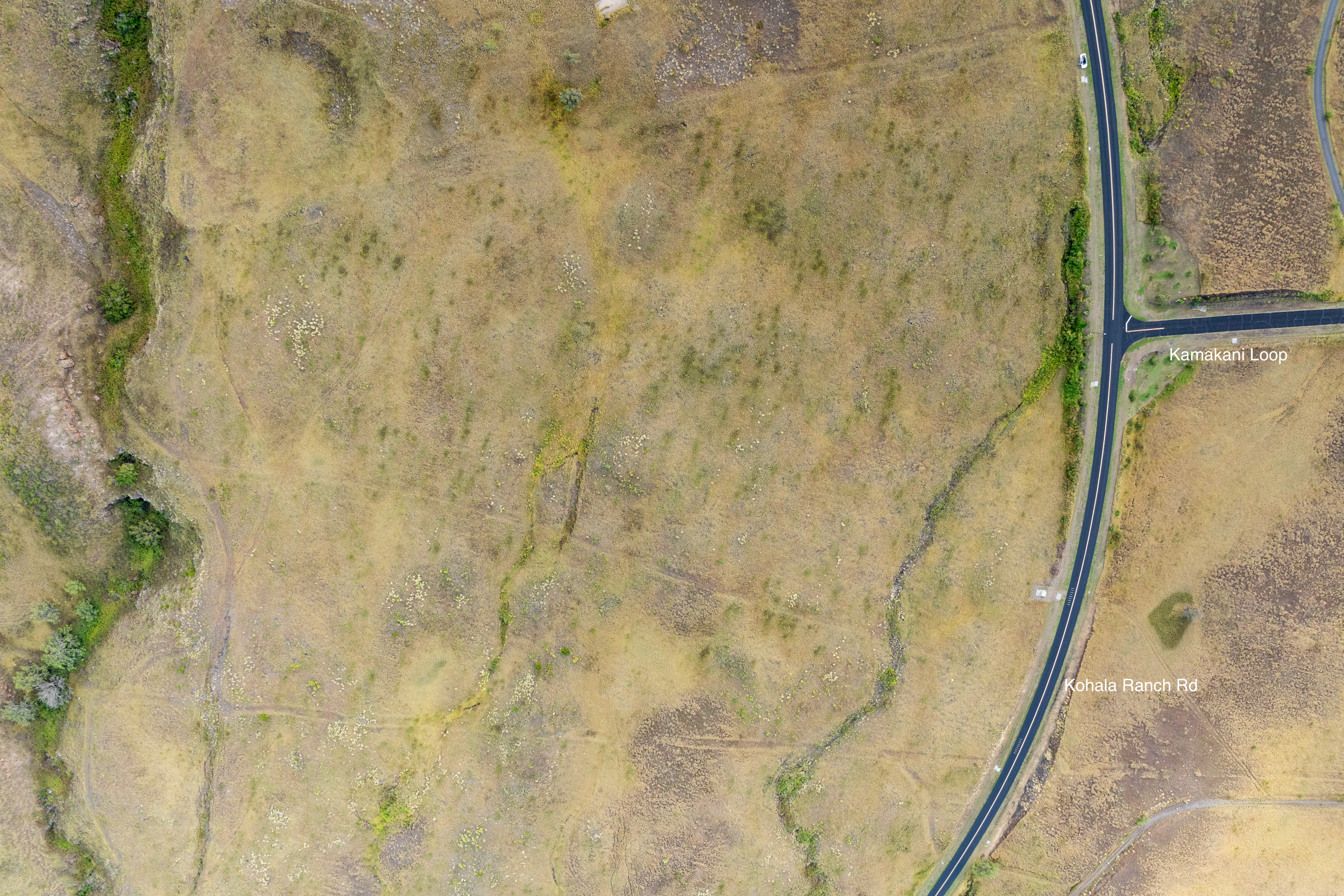 59-1009 Lot 157 Kohala Ranch Road Kamuela, HI 96743 - Photo 7 of 14