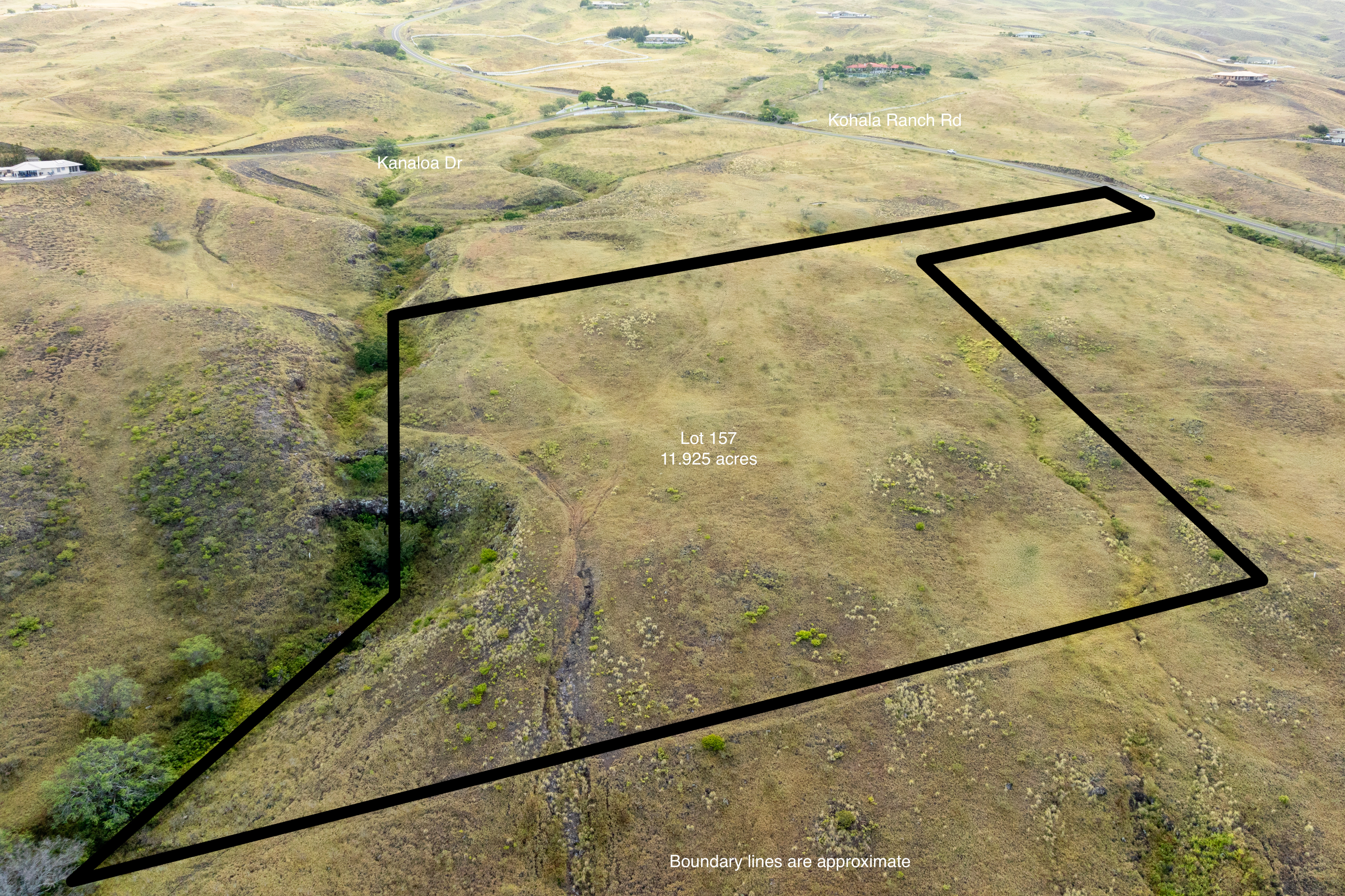 59-1009 Lot 157 Kohala Ranch Road Kamuela, HI 96743 - Photo 8 of 14