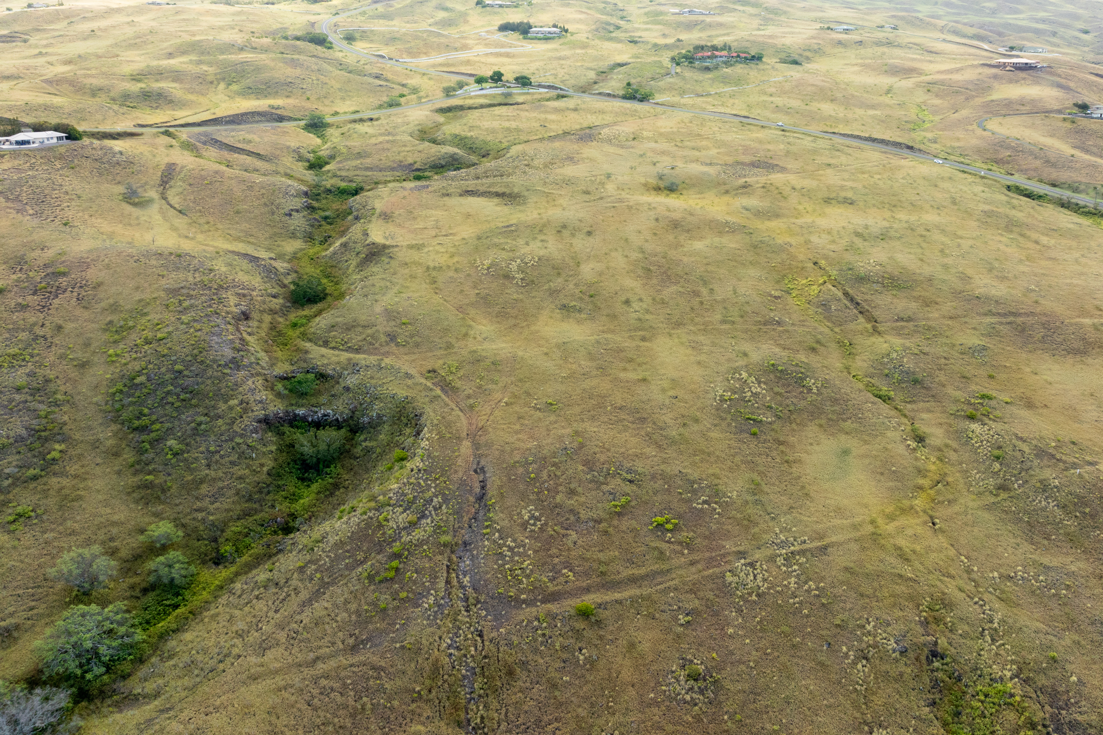 59-1009 Lot 157 Kohala Ranch Road Kamuela, HI 96743 - Photo 9 of 14