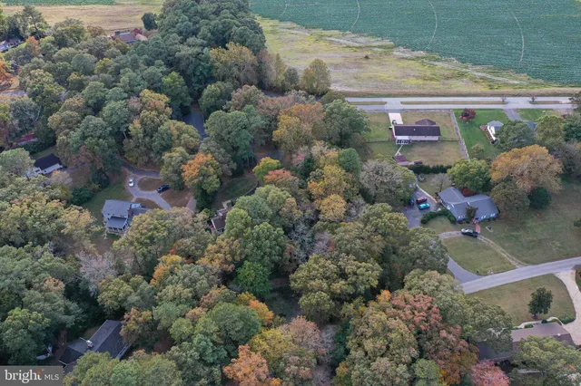a backyard of a house with lots of green space and fountain
