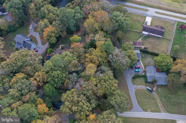 a picture of flowers