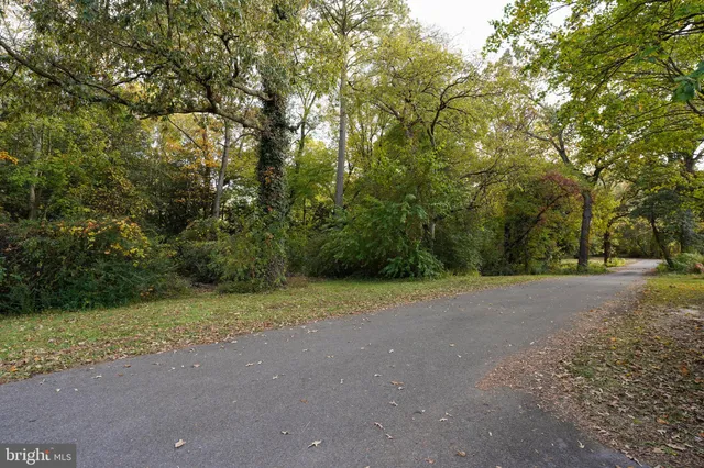 a view of a field with trees in the background