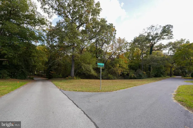 a view of swimming pool with trees in the background