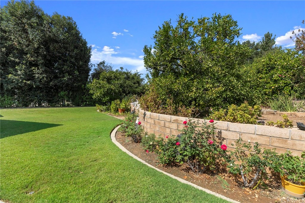 4051 La Concetta Drive Yorba Linda, CA 92886 - Photo 20 of 28