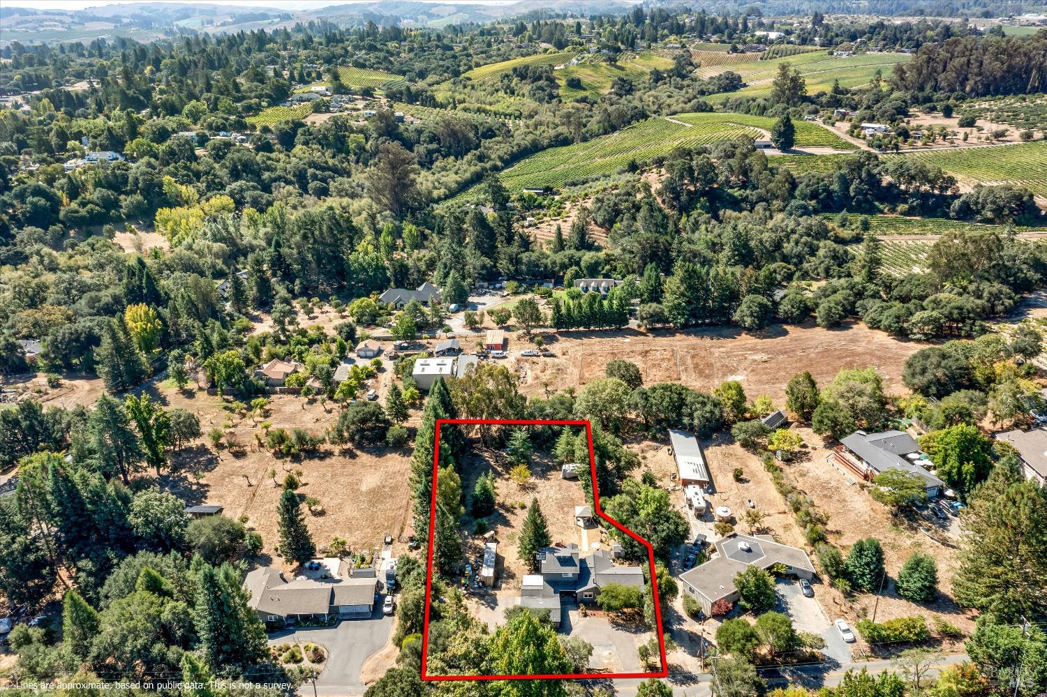 8061 Elphick Road Sebastopol, CA 95472 - Photo 37 of 40 an aerial view of a houses with a lake view