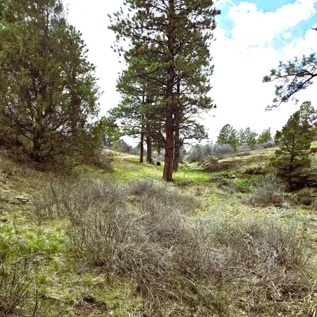 $155,000 | Lot 3 North Avalon Drive, Norwood, CO 81423